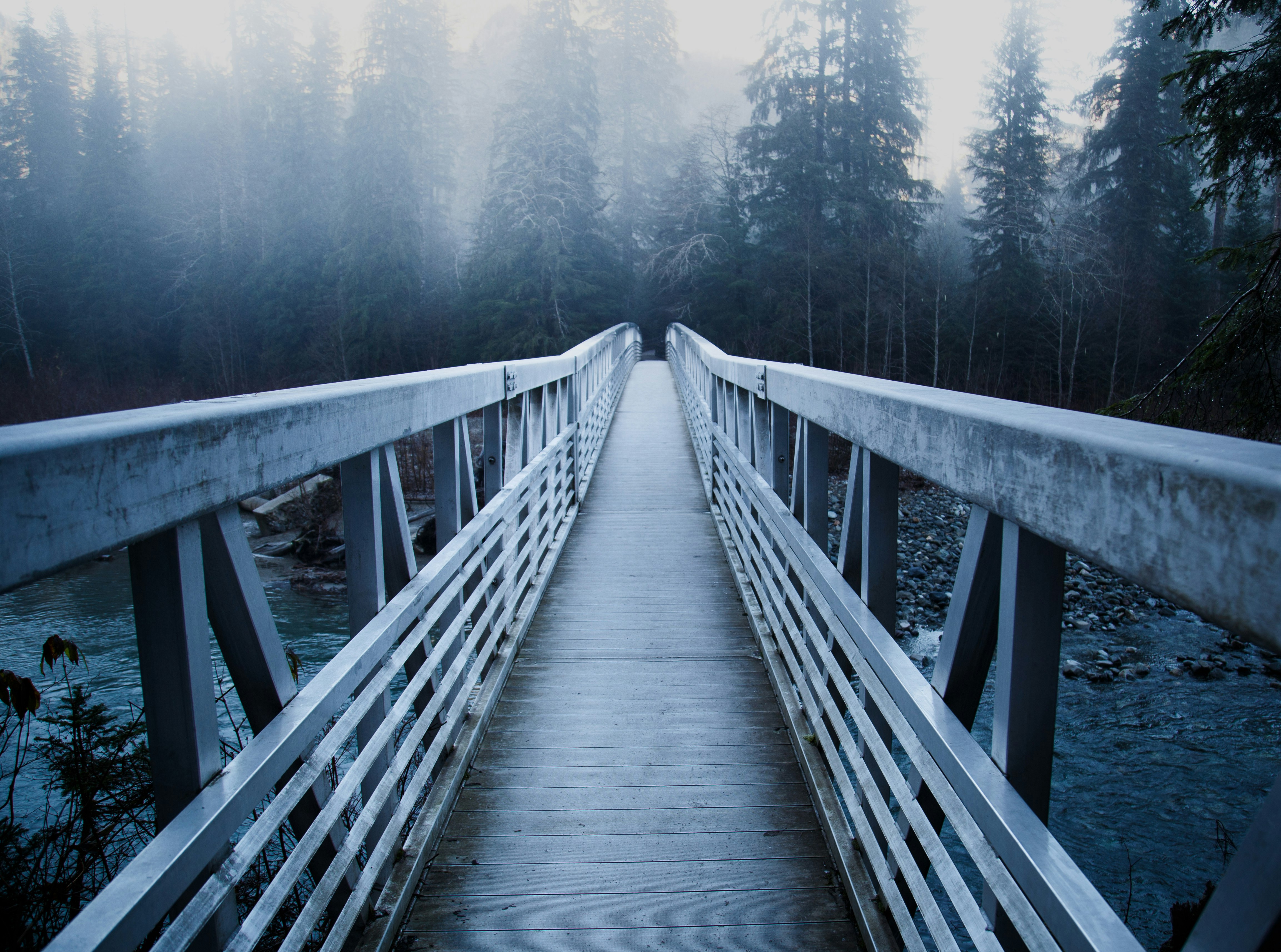 gray bridge above river during daytime photo